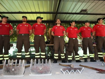 Biobío conmemora el Día del Brigadista Forestal con homenaje a combatientes y víctimas