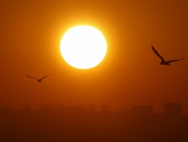 Refuerzan medidas preventivas ante Alerta Roja por calor extremo en cinco provincias de la región de Valparaíso