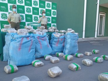 Encuentran más de 210 kilos de marihuana al interior de un vehículo abandonado en Catapilco