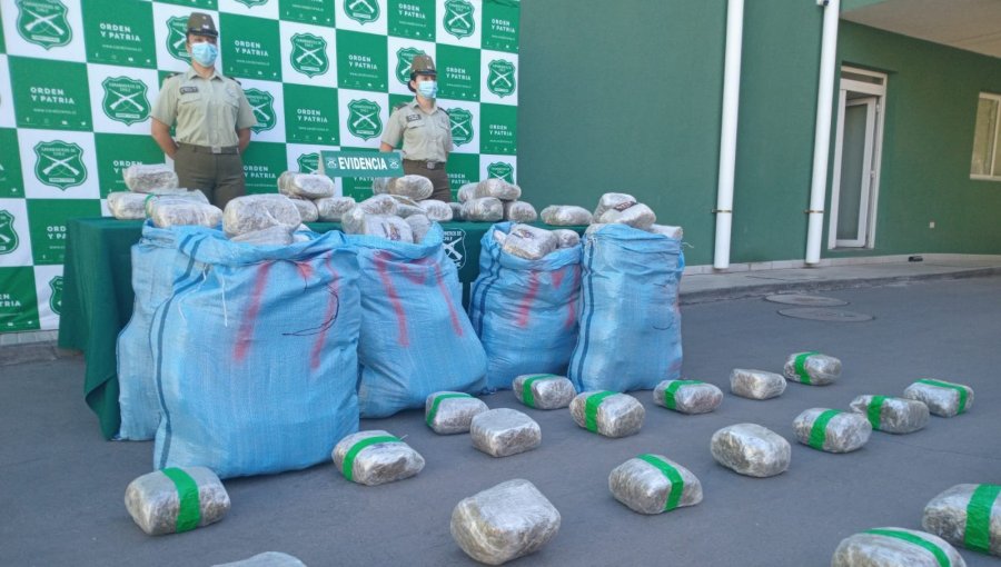 Encuentran más de 210 kilos de marihuana al interior de un vehículo abandonado en Catapilco