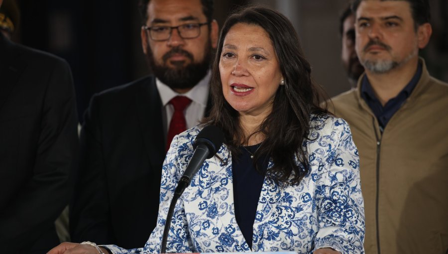 Ministra Lobos espera "voluntad política" para aprobar emblemáticos proyectos del Gobierno, especialmente el del FES