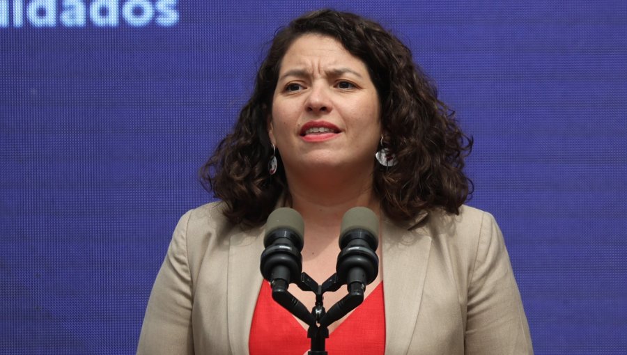 Toro reprocha cuestionamientos de Poduje sobre reconstrucción por megaincendio: "Atacar las cifras no le hace bien al Estado"