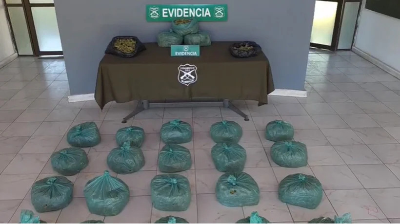 Incautan más de 24 kilos de marihuana elaborada tras volcamiento de vehículo en San Felipe