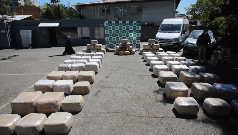 Incautan más de 38 mil plantas y 1.279 kilos de marihuana durante operativos en O’Higgins y el Biobío