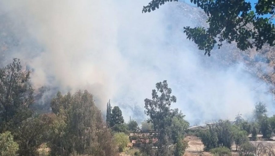 Declaran Alerta Roja para la comuna de Pirque por incendio forestal cercano a sectores poblados