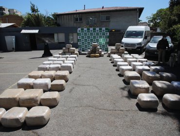 Incautan más de 38 mil plantas y 1.279 kilos de marihuana durante operativos en O’Higgins y el Biobío