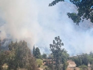Declaran Alerta Roja para la comuna de Pirque por incendio forestal cercano a sectores poblados