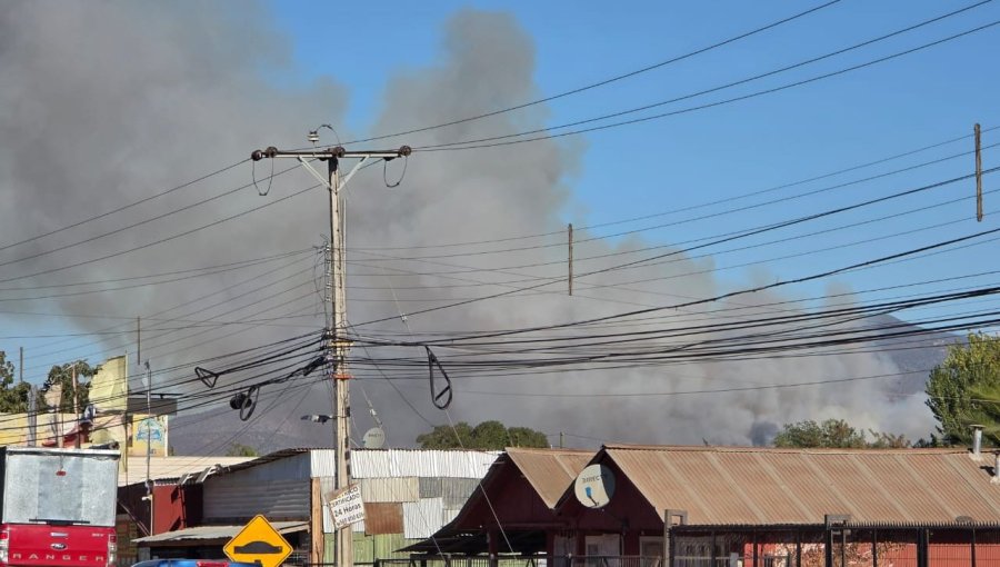 Adulta mayor fue hallada sin vida en una casa consumida por incendio forestal en Melipilla