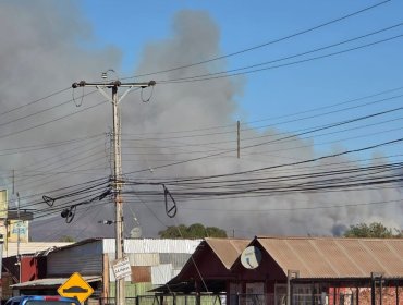 Adulta mayor fue hallada sin vida en una casa consumida por incendio forestal en Melipilla