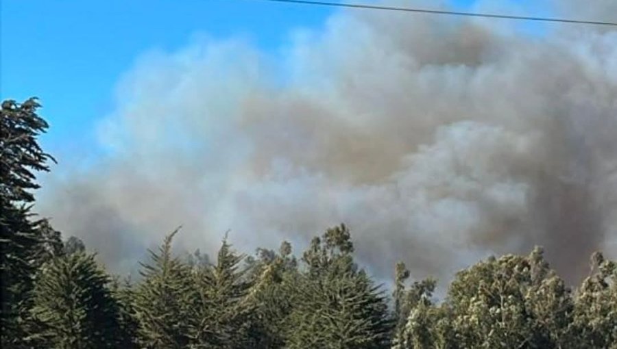 Declaran Alerta Amarilla para Quintero por incendio forestal que mantiene un "comportamiento complejo"