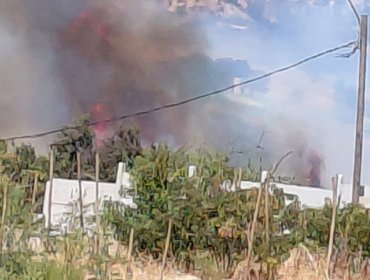 Bomberos y personal de Conaf combaten incendio forestal a un costado de cementerio en Villa Alemana