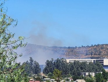 Controlan incendio forestal cercano a cementerio de Villa Alemana que consumió 3,68 hectáreas