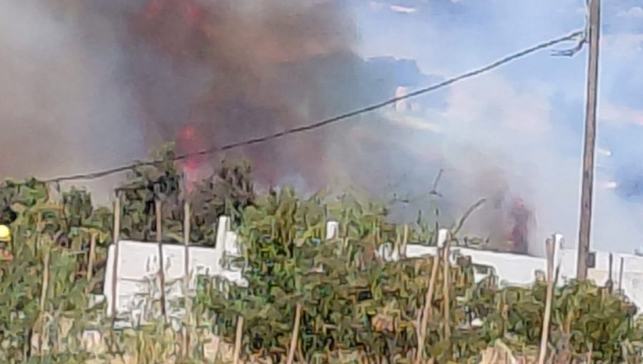 Bomberos y personal de Conaf combaten incendio forestal a un costado de cementerio en Villa Alemana
