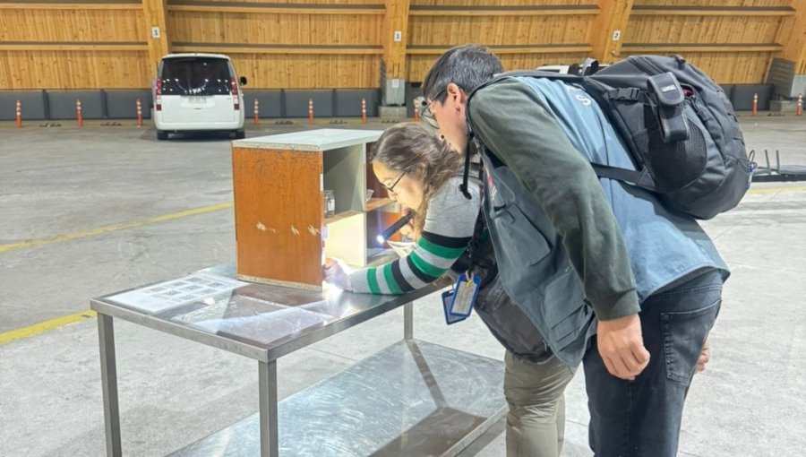 Activan control preventivo en complejo Los Libertadores tras hallazgo de mosquito que transmite el dengue