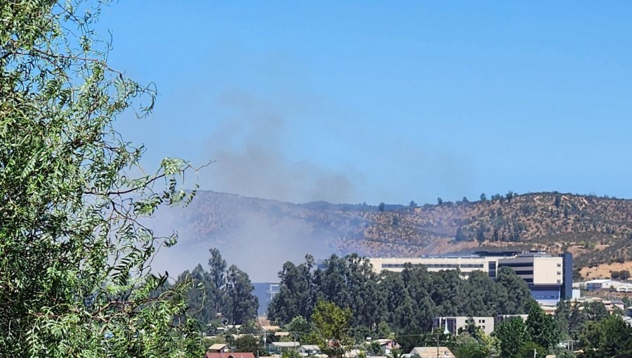 Controlan incendio forestal cercano a cementerio de Villa Alemana que consumió 3,68 hectáreas