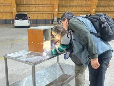 Activan control preventivo en complejo Los Libertadores tras hallazgo de mosquito que transmite el dengue