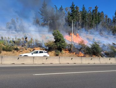 Incendio forestal se registra en la ruta 68 a la altura de la variante Agua Santa en dirección a Viña del Mar