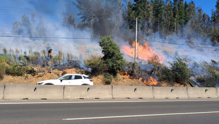 Incendio forestal se registra en la ruta 68 a la altura de la variante Agua Santa en dirección a Viña del Mar
