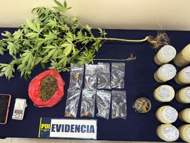 PDI desbarata venta de hongos alucinógenos en balnearios de la zona central