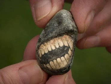 El sorprendente fósil sonriente hallado en una isla en el norte de Inglaterra