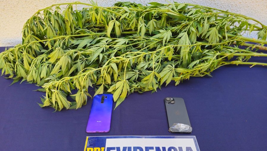 Detienen a sujeto que con un arma de fuego intimidó y asaltó a menor de edad en sector Gómez Carreño de Viña del Mar