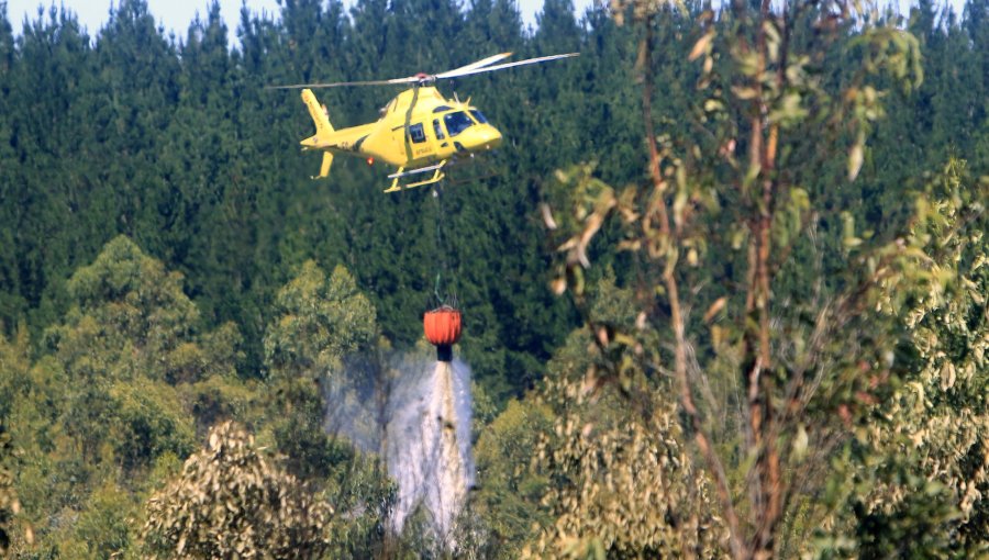 Cancelan la Alerta Temprana Preventiva para la región de Valparaíso por amenaza de incendios forestales: se mantuvo vigente desde el 5 de febrero