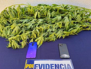 Detienen a sujeto que con un arma de fuego intimidó y asaltó a menor de edad en sector Gómez Carreño de Viña del Mar