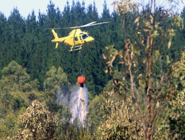 Cancelan la Alerta Temprana Preventiva para la región de Valparaíso por amenaza de incendios forestales: se mantuvo vigente desde el 5 de febrero