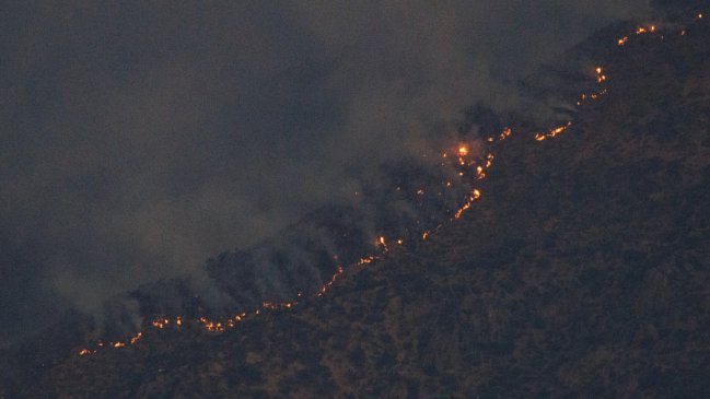 Región del Ñuble: Senapred ordena evacuación inmediata de varios sectores de San Nicolás por incendio forestal