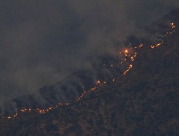 Región del Ñuble: Senapred ordena evacuación inmediata de varios sectores de San Nicolás por incendio forestal