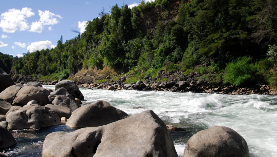 Reserva Altos de Pemehue avanza hacia reapertura tras acuerdo con Conaf