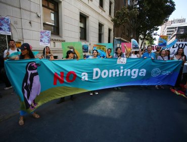 Ministra Maisa Rojas: “Dominga está rechazado y así lo confirma la justicia”