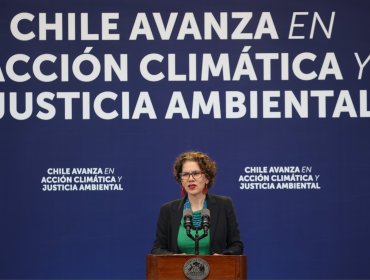 Dominga vuelve a ser rechazado: Gobierno reafirma decisión tras fallo de la Corte de Antofagasta