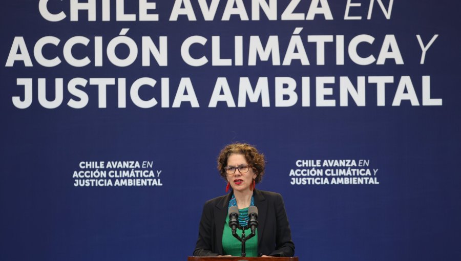 Dominga vuelve a ser rechazado: Gobierno reafirma decisión tras fallo de la Corte de Antofagasta