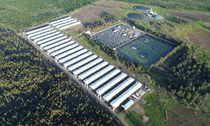 INDH recurre a la justicia por malos olores en la conurbación Chillán - Chillán Viejo