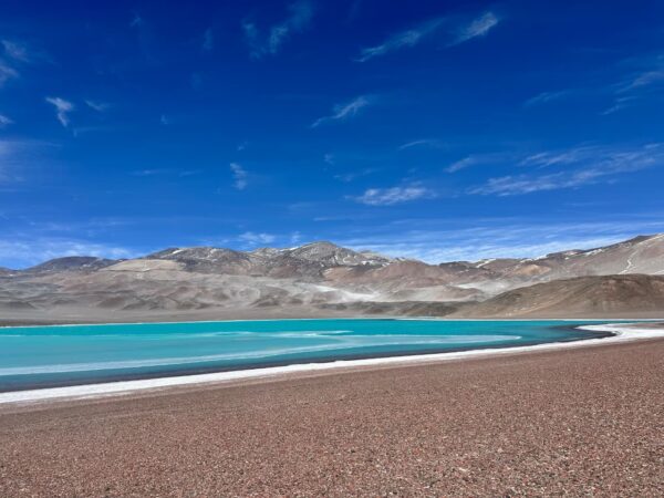 Contraloría General de la República frena contratos de litio y golpea la Estrategia Nacional