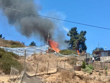 Bomberos combate incendio estructural que afecta al menos a dos viviendas en Reñaca Alto: fuego amenaza a una zona forestal