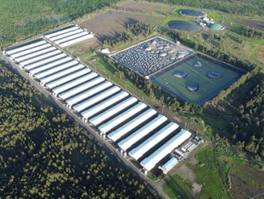 INDH recurre a la justicia por malos olores en la conurbación Chillán - Chillán Viejo