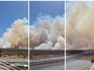 Alerta Roja en Nogales: ordenan evacuar sector Las Romazas por incendio forestal