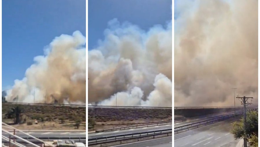 Alerta Roja en Nogales: cerca de 2 hectáreas consumió incendio forestal que obligó a evacuar el sector Las Romazas