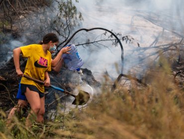 Región del Maule: Alerta roja en Curepto por incendio forestal que amenaza sectores habitados