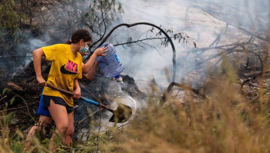 Región del Maule: Alerta roja en Curepto por incendio forestal que amenaza sectores habitados