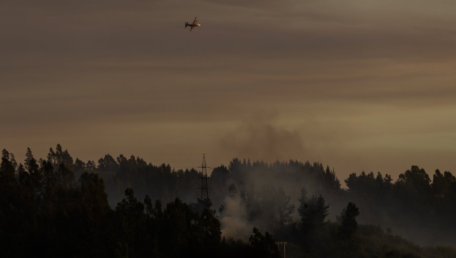 Incendios forestales arrasan más de 4.500 hectáreas en el Maule