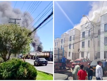 Incendio afecta a cuatro departamentos en edificio del Mirador de Reñaca