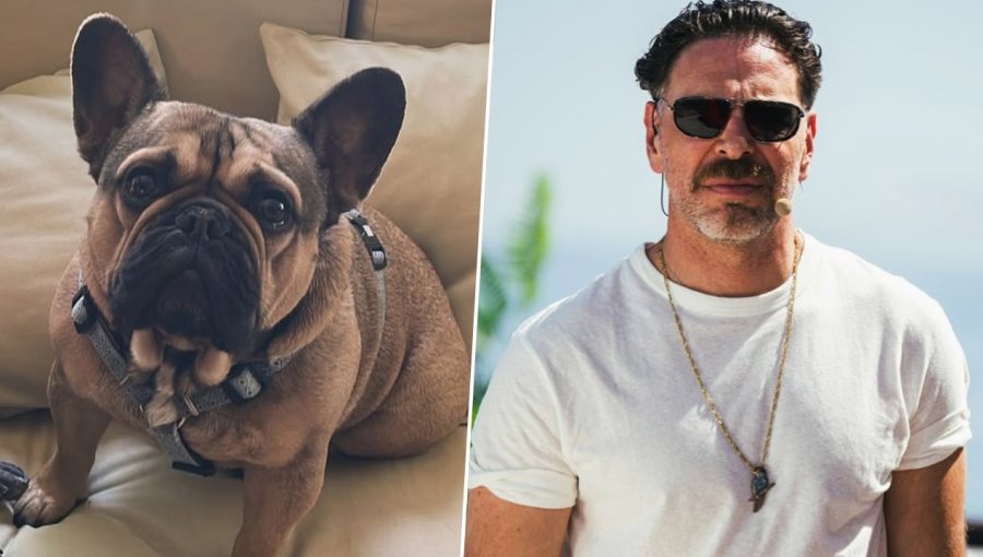 José Antonio Neme dejó Viña del Mar de urgencia por su perro que “está luchando por sobrevivir”