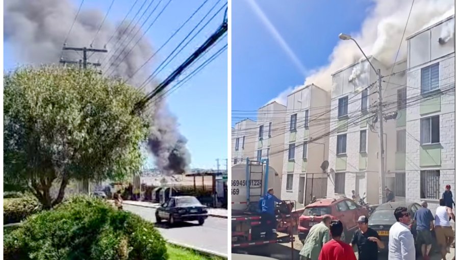 Incendio afecta a cuatro departamentos en edificio del Mirador de Reñaca