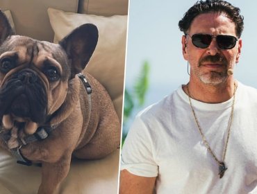 José Antonio Neme dejó Viña del Mar de urgencia por su perro que “está luchando por sobrevivir”