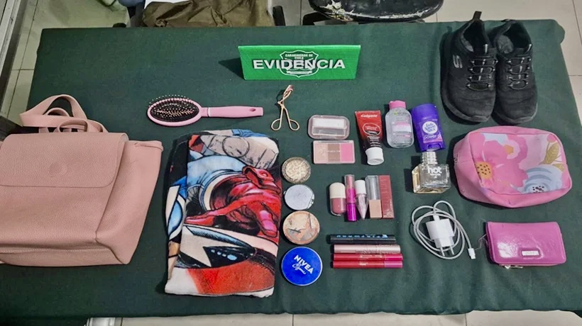 Dos sujetos fueron detenidos en Viña tras ser sorprendidos al interior de un automóvil con especies que no pudieron acreditar