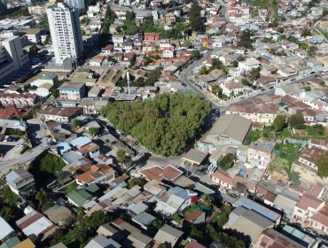 Forestal Bajo contará con nuevo y moderno sistema de iluminación LED en calles y plazas de este sector viñamarino