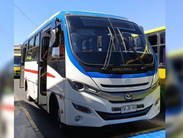 Buses de combinación con la estación Limache suman nuevos servicios y mayor capacidad en Quillota, La Cruz y La Calera